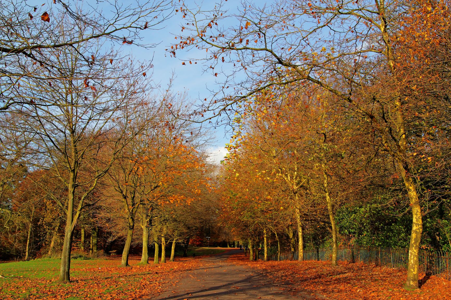 heaton park