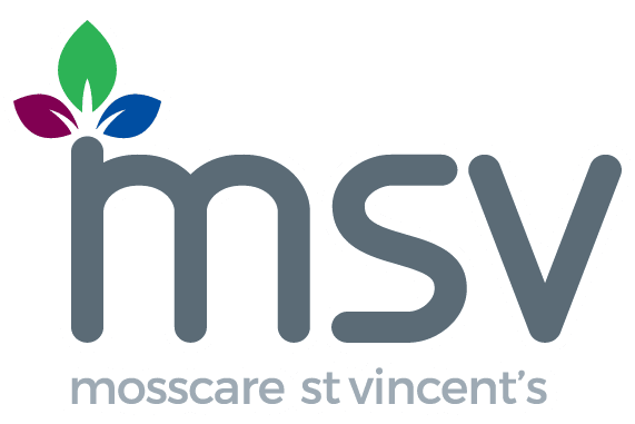 msv logo