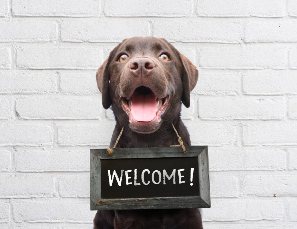 welcome